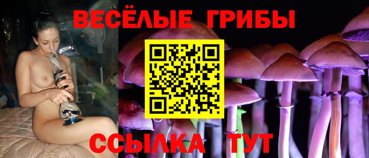 Галлюциногенные грибы мухоморы Моздок