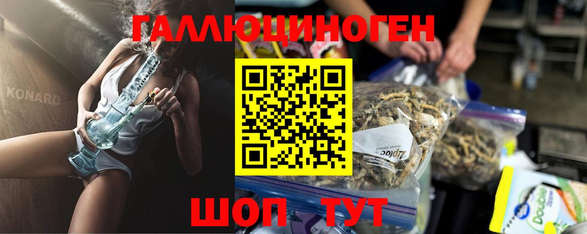 Моздок  Псилоцибиновые грибы Psilocybe  Вход с VPN 